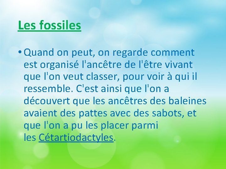 Les fossiles • Quand on peut, on regarde comment est organisé l'ancêtre de l'être