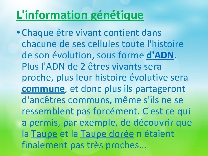 L'information génétique • Chaque être vivant contient dans chacune de ses cellules toute l'histoire