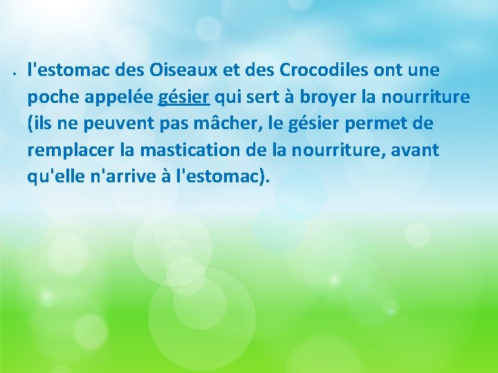  l'estomac des Oiseaux et des Crocodiles ont une poche appelée gésier qui sert