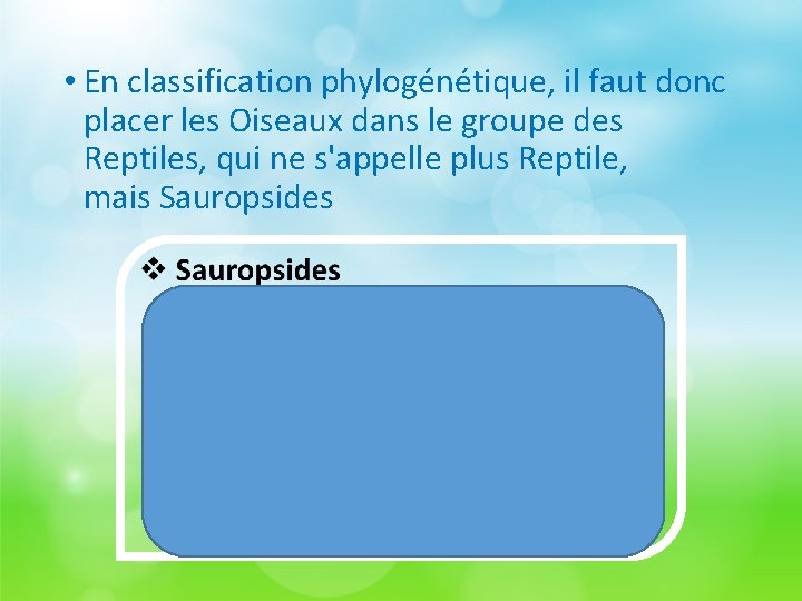  • En classification phylogénétique, il faut donc placer les Oiseaux dans le groupe