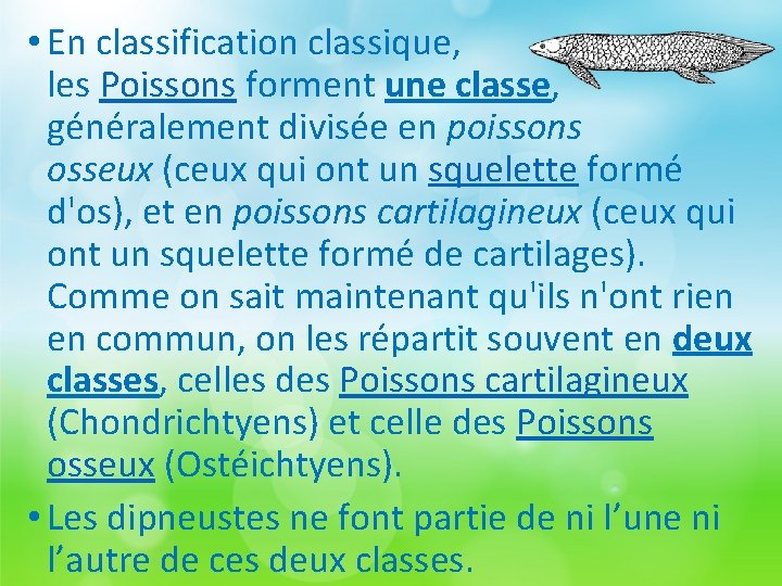  • En classification classique, les Poissons forment une classe, généralement divisée en poissons