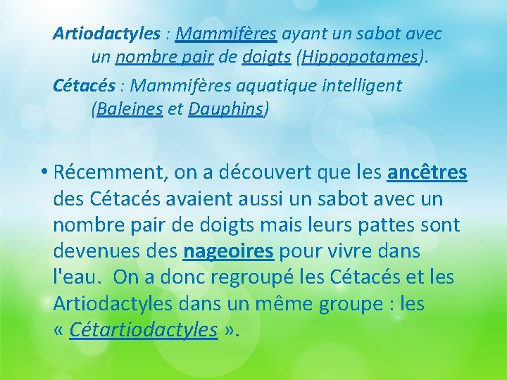 Artiodactyles : Mammifères ayant un sabot avec un nombre pair de doigts (Hippopotames). Cétacés