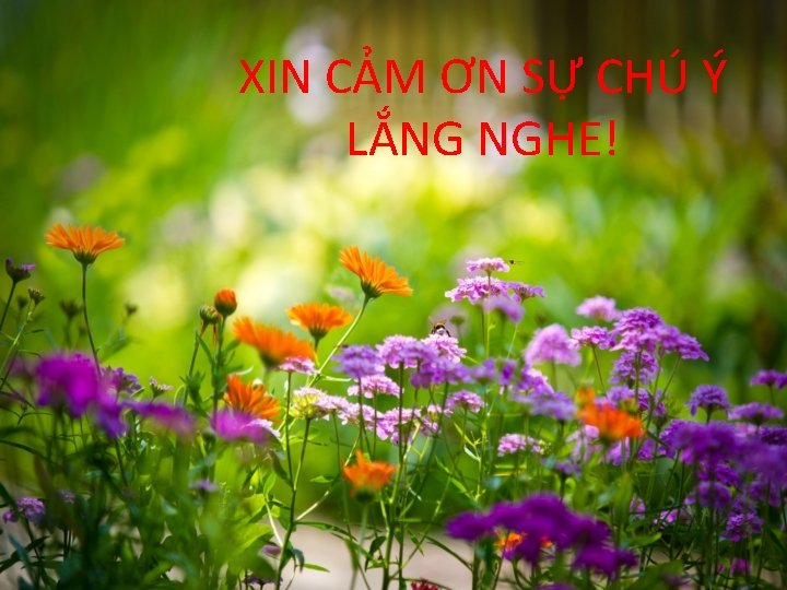 XIN CẢM ƠN SỰ CHÚ Ý LẮNG NGHE! XIN CẢM ƠN SỰ CHÚ Ý LẮNG NGHE!