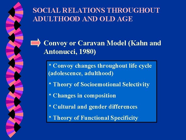 SOCIAL RELATIONS THROUGHOUT ADULTHOOD AND OLD AGE Convoy or Caravan Model (Kahn and Antonucci,