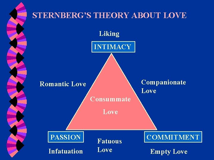 STERNBERG’S THEORY ABOUT LOVE Liking INTIMACY Companionate Love Romantic Love Consummate Love PASSION Infatuation