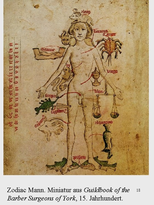 Zodiac Mann. Miniatur aus Guildbook of the Barber Surgeons of York, 15. Jahrhundert. 18