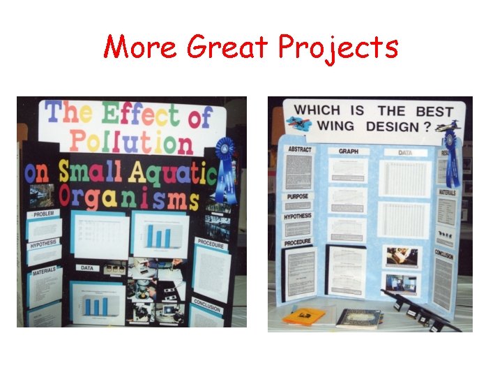 More Great Projects 