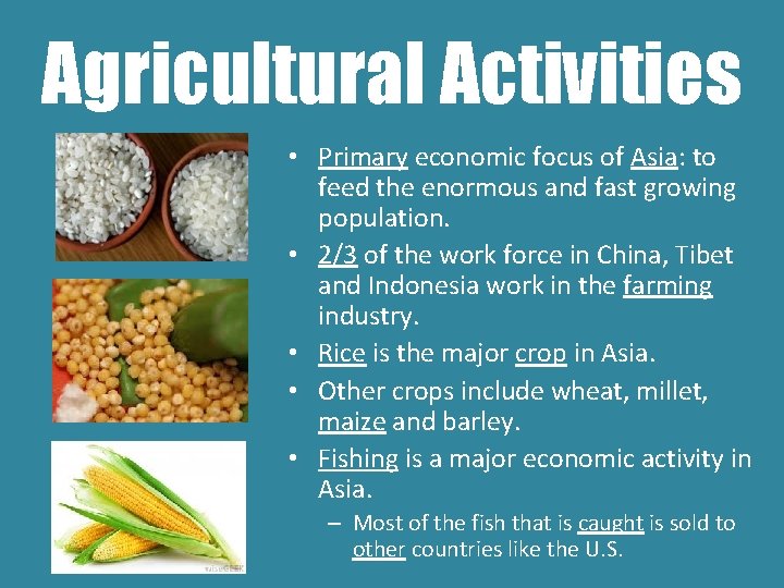 Agricultural Activities • Primary economic focus of Asia: to feed the enormous and fast