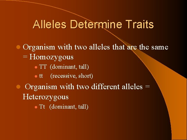 Alleles Determine Traits l Organism with two alleles that are the same = Homozygous