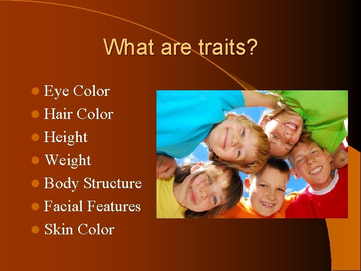 What are traits? l Eye Color l Hair Color l Height l Weight l
