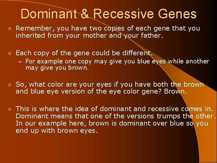 Dominant & Recessive Genes l Remember, you have two copies of each gene that
