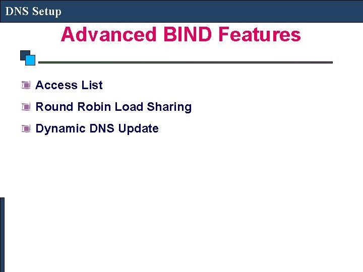 DNS Setup Advanced BIND Features Access List Round Robin Load Sharing Dynamic DNS Update