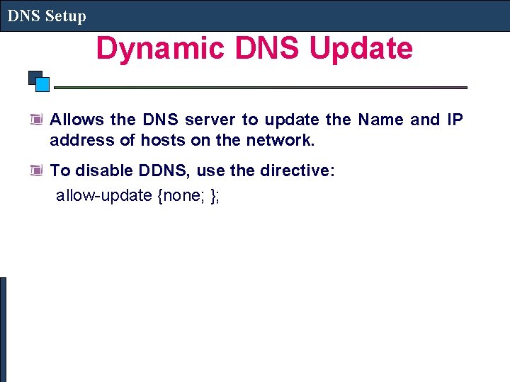 DNS Setup Dynamic DNS Update Allows the DNS server to update the Name and