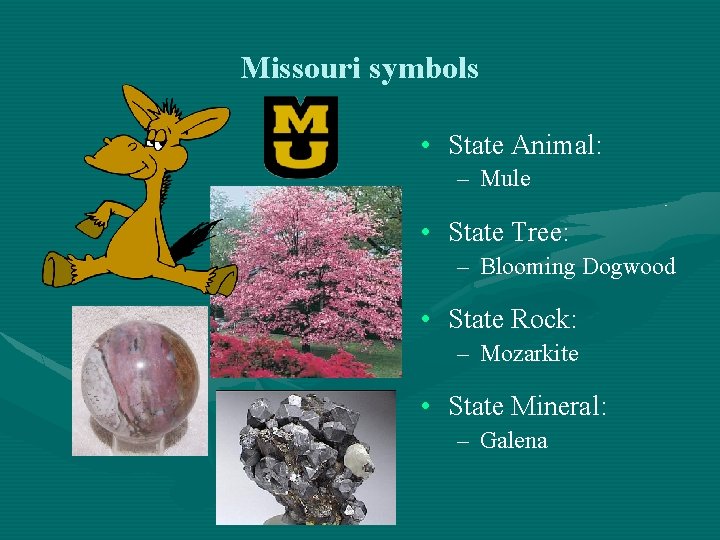 Missouri symbols • State Animal: – Mule • State Tree: – Blooming Dogwood •