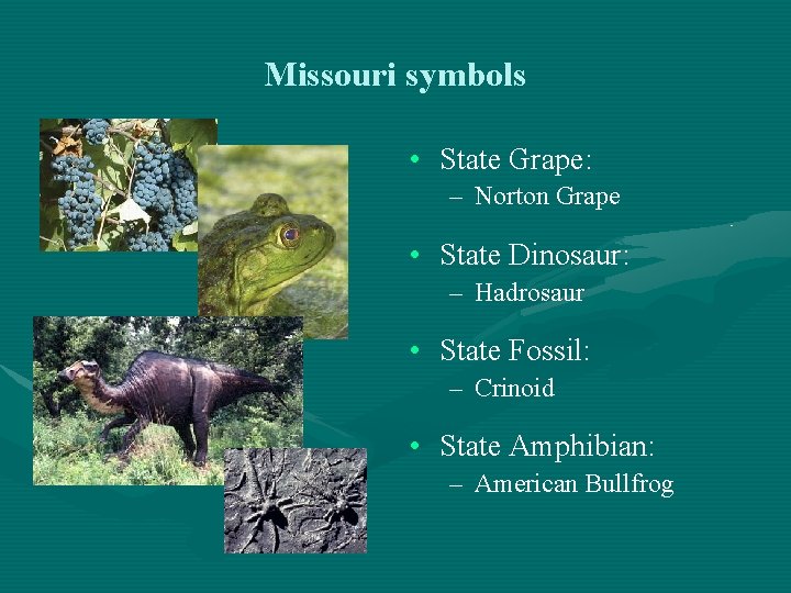 Missouri symbols • State Grape: – Norton Grape • State Dinosaur: – Hadrosaur •