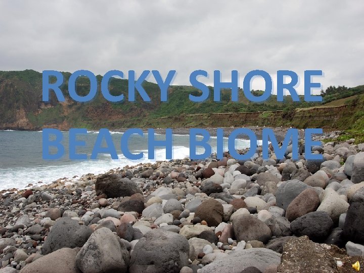 ROCKY SHORE BEACH BIOME 
