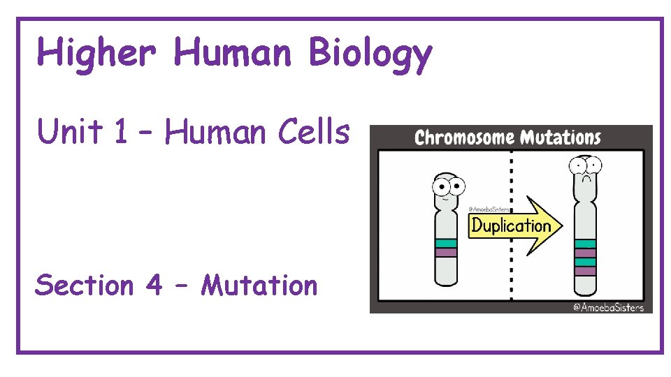 Higher Human Biology Unit 1 – Human Cells Section 4 – Mutation 