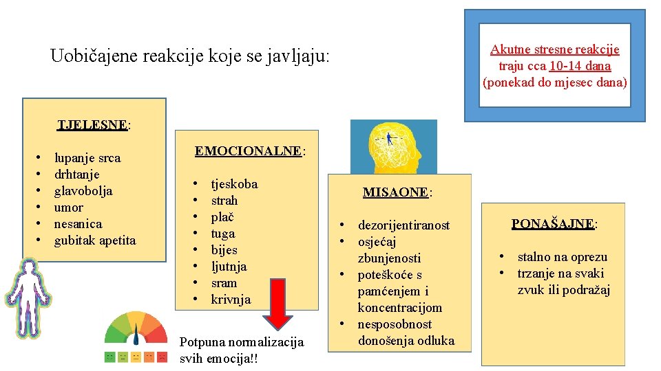 Akutne stresne reakcije traju cca 10 -14 dana (ponekad do mjesec dana) Uobičajene reakcije