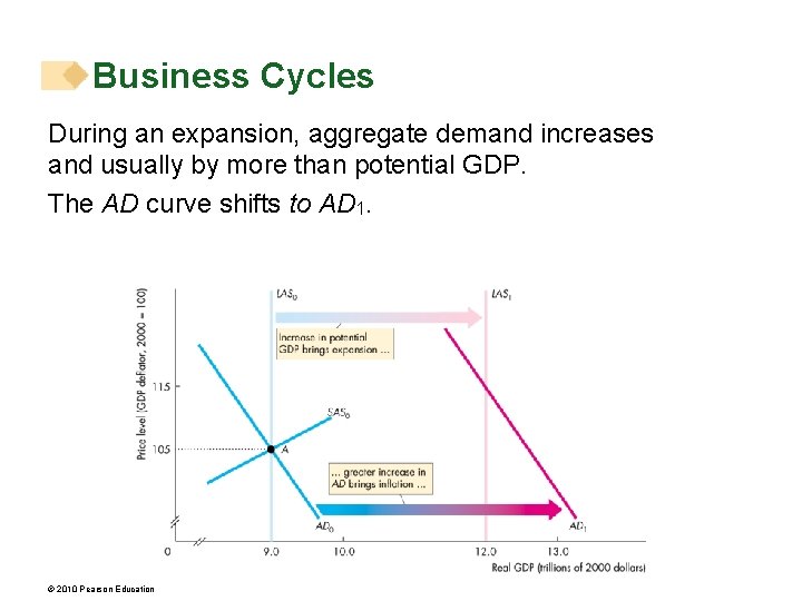 Business Cycles During an expansion, aggregate demand increases and usually by more than potential