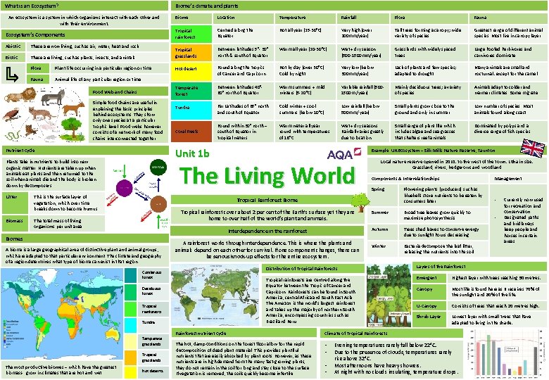 Biome’s climate and plants What is an Ecosystem? An ecosystem is a system in