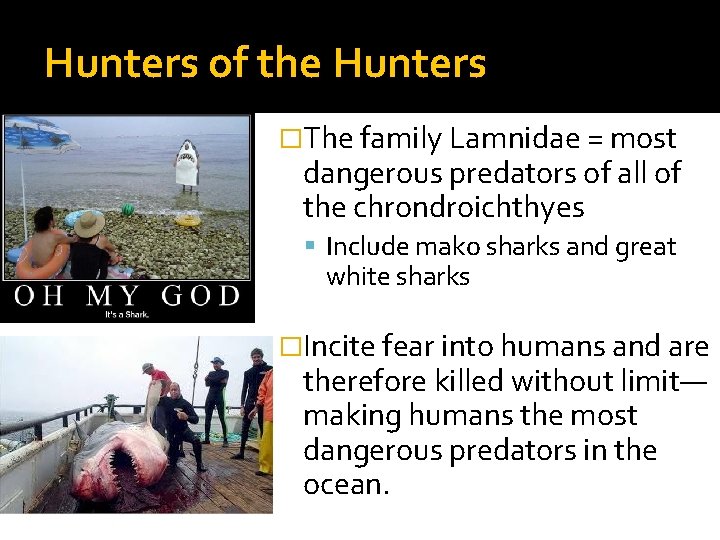 Hunters of the Hunters �The family Lamnidae = most dangerous predators of all of