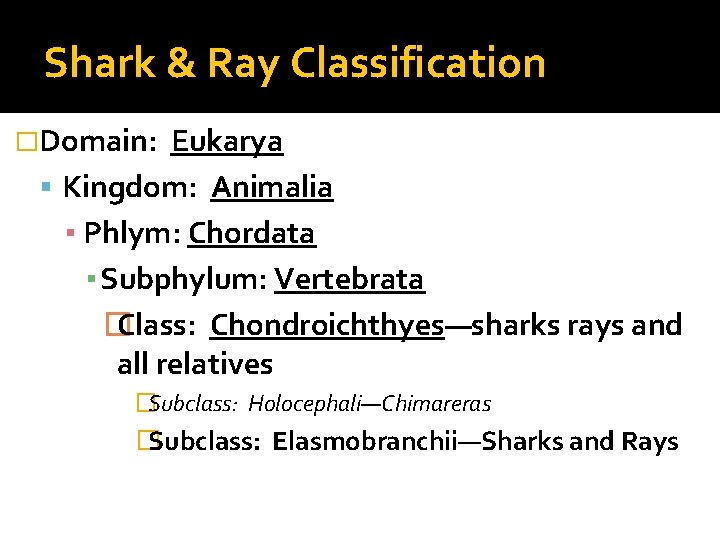 Shark & Ray Classification �Domain: Eukarya Kingdom: Animalia ▪ Phlym: Chordata ▪ Subphylum: Vertebrata