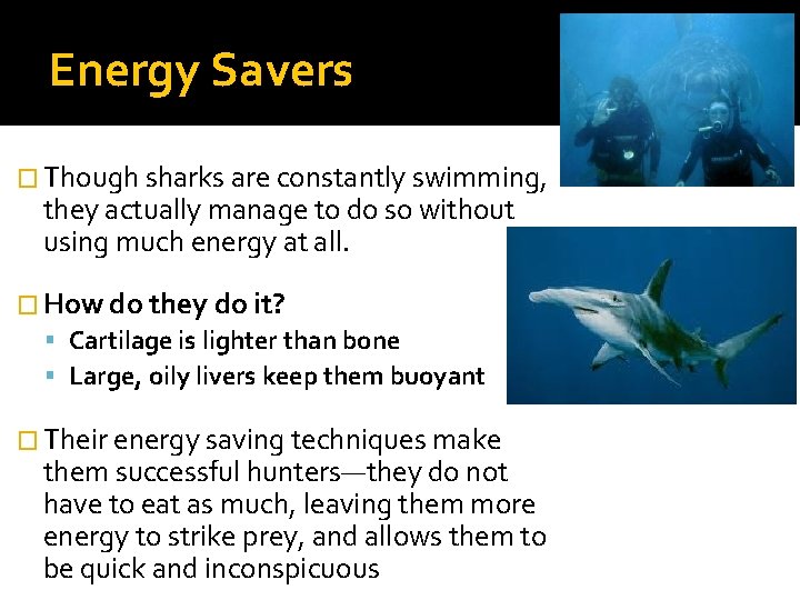 Energy Savers � Though sharks are constantly swimming, they actually manage to do so