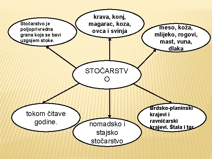 Stočarstvo je poljoprivredna grana koja se bavi uzgojem stoke. krava, konj, magarac, koza, ovca