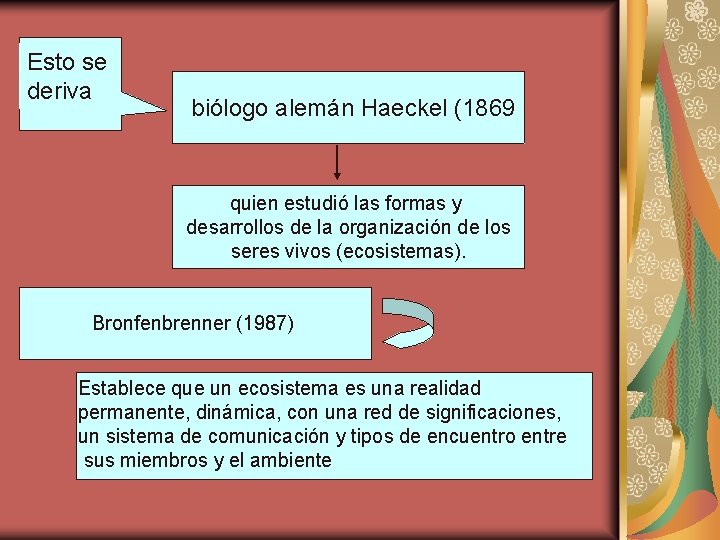 Esto se deriva biólogo alemán Haeckel (1869 quien estudió las formas y desarrollos de
