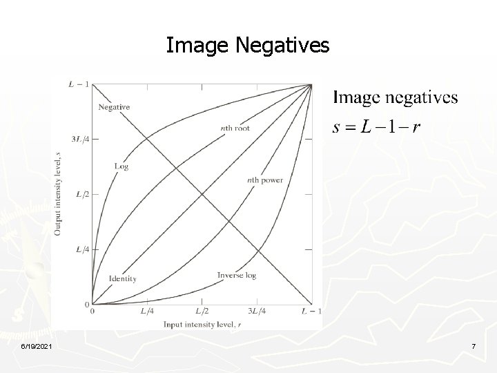 Image Negatives 6/19/2021 7 