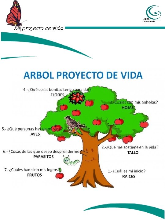 Mi proyecto de vida 