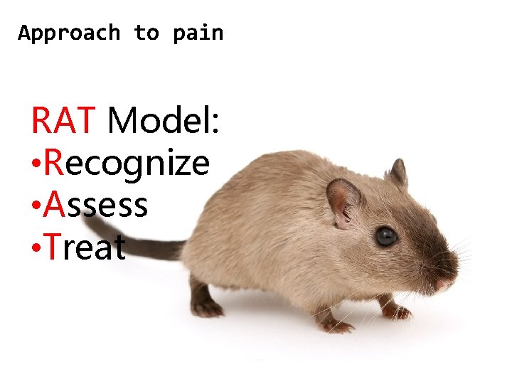 Approach to pain RAT Model: • Recognize • Assess • Treat 