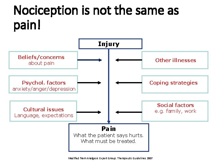 Nociception is not the same as pain! Injury Beliefs/concerns about pain Other illnesses Psychol.