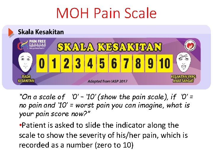 MOH Pain Scale “On a scale of ‘ 0’ – ‘ 10’ (show the