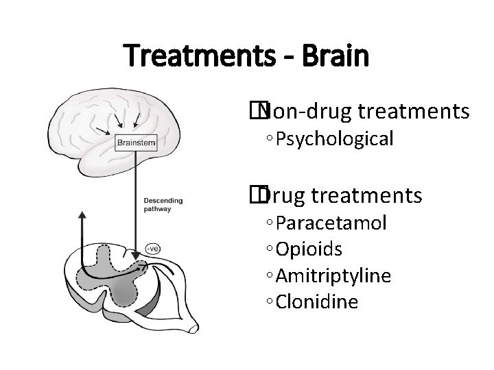 Treatments - Brain � Non-drug treatments ◦ Psychological � Drug treatments ◦ Paracetamol ◦