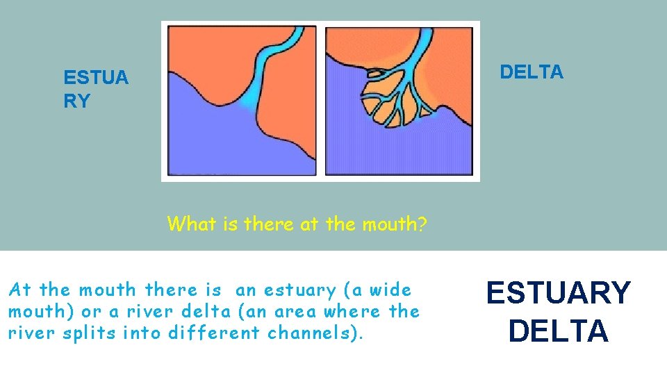 DELTA ESTUA RY What is there at the mouth? At the mouth there is