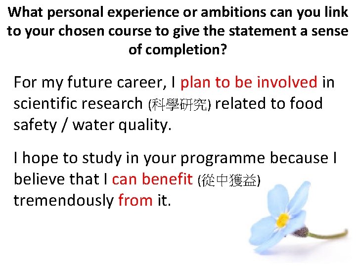 What personal experience or ambitions can you link to your chosen course to give