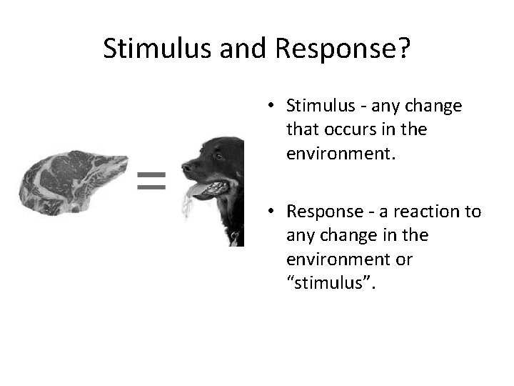 Stimulus and Response? • Stimulus - any change that occurs in the environment. •