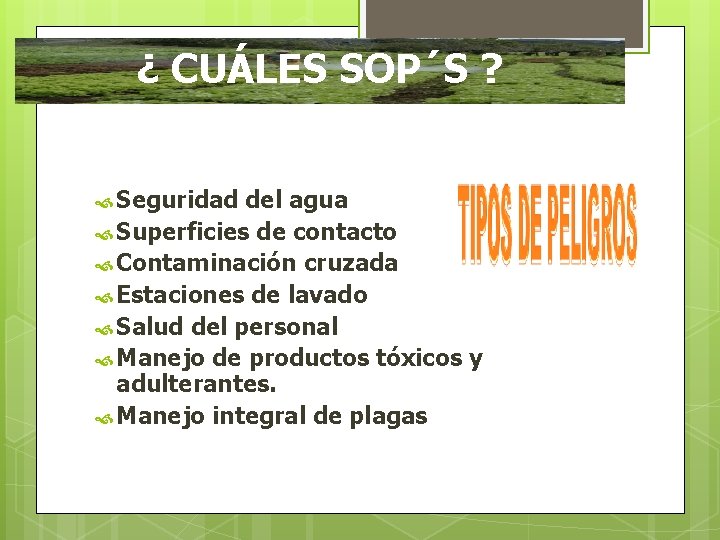 ¿ CUÁLES SOP´S ? Seguridad del agua Superficies de contacto Contaminación cruzada Estaciones de