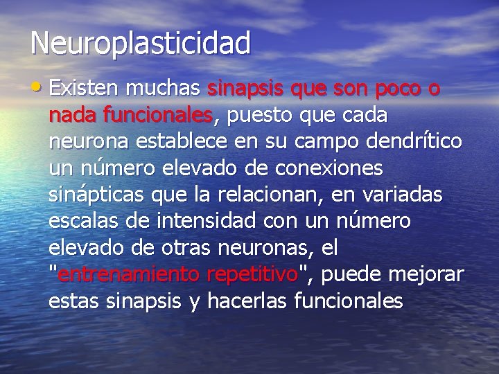 Neuroplasticidad • Existen muchas sinapsis que son poco o nada funcionales, puesto que cada