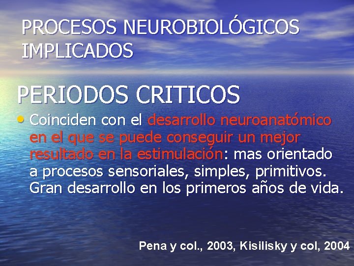 PROCESOS NEUROBIOLÓGICOS IMPLICADOS PERIODOS CRITICOS • Coinciden con el desarrollo neuroanatómico en el que