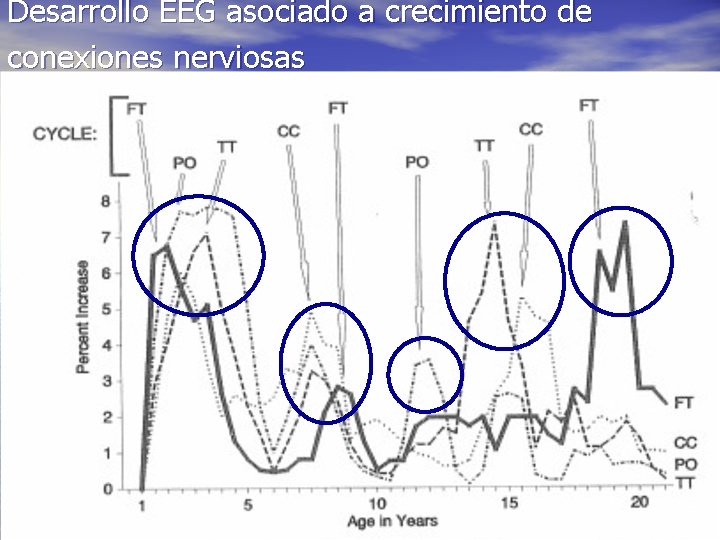 Desarrollo EEG asociado a crecimiento de conexiones nerviosas 