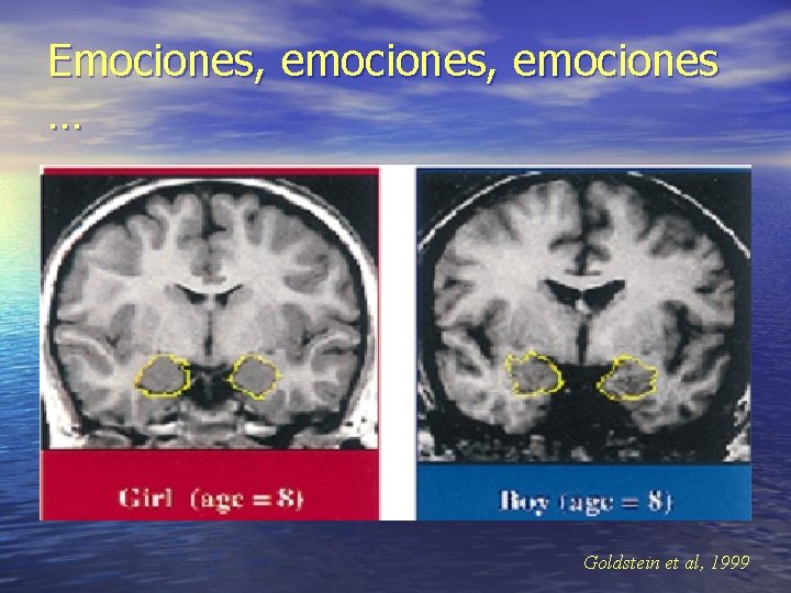 Emociones, emociones … Goldstein et al, 1999 