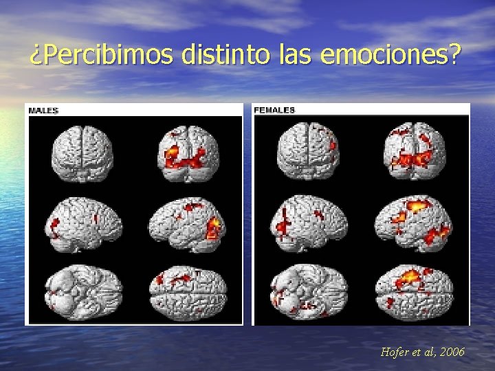 ¿Percibimos distinto las emociones? Hofer et al, 2006 