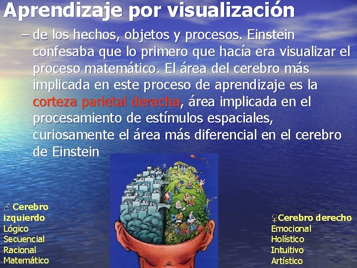 Aprendizaje por visualización – de los hechos, objetos y procesos. Einstein confesaba que lo