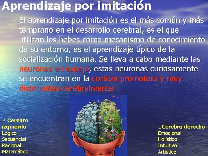 Aprendizaje por imitación – El aprendizaje por imitación es el más común y más