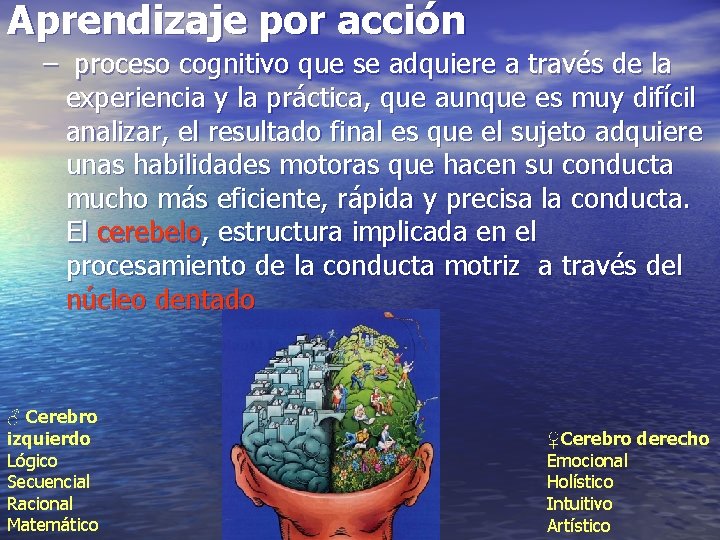 Aprendizaje por acción – proceso cognitivo que se adquiere a través de la experiencia