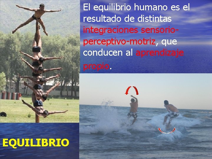 El equilibrio humano es el resultado de distintas integraciones sensorioperceptivo-motriz, que conducen al aprendizaje