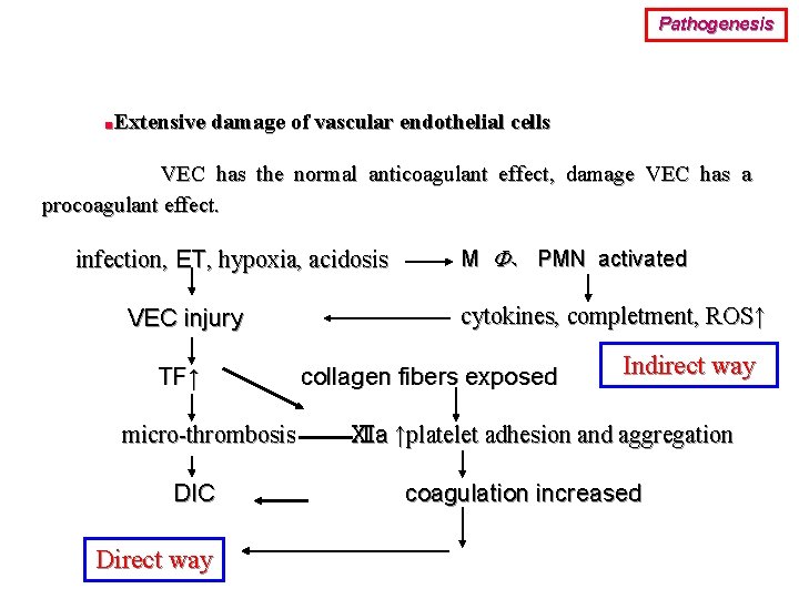 Pathogenesis ■Extensive damage of vascular endothelial cells VEC has the normal anticoagulant effect, damage