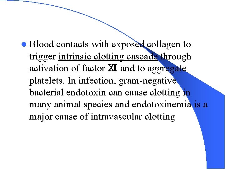 l Blood contacts with exposed collagen to trigger intrinsic clotting cascade through activation of